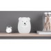 Ночник LED «Bear»